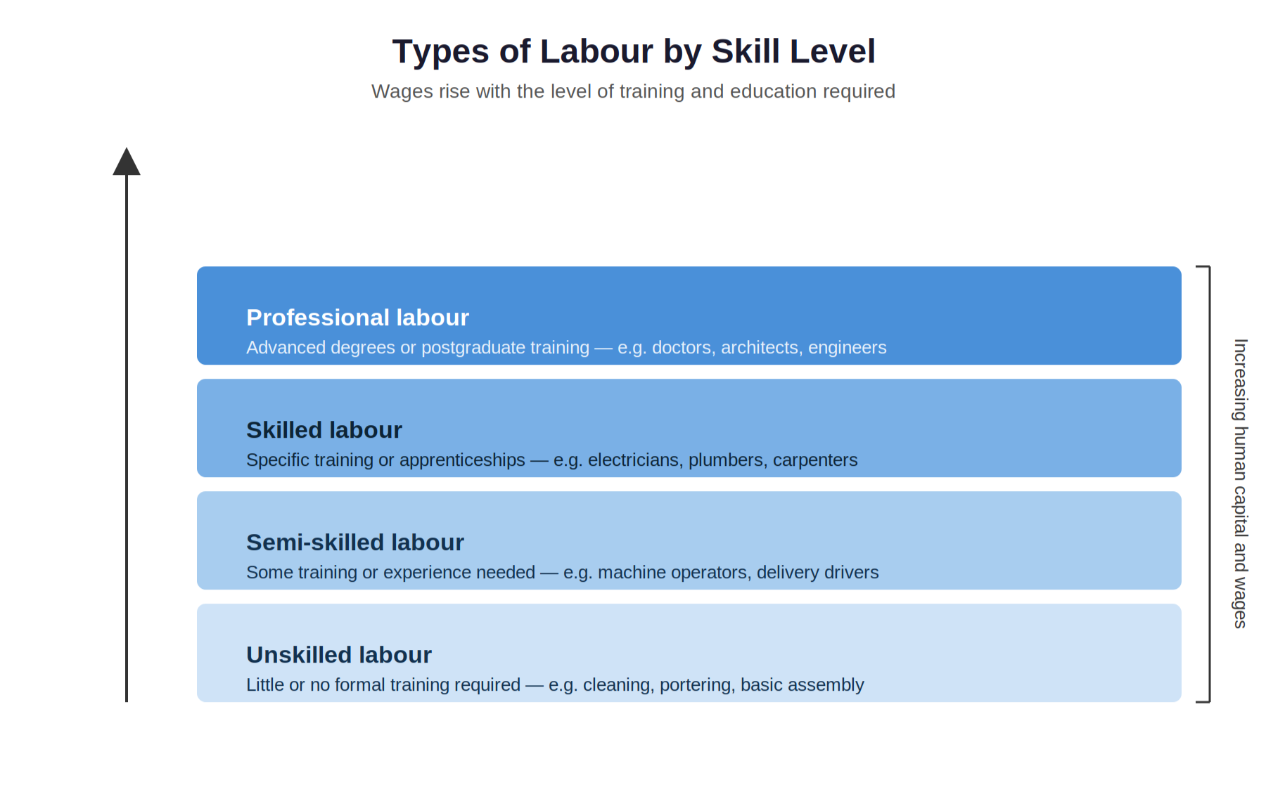 Pyramid showing unskilled, semi‑skilled, skilled and professional labour levels.