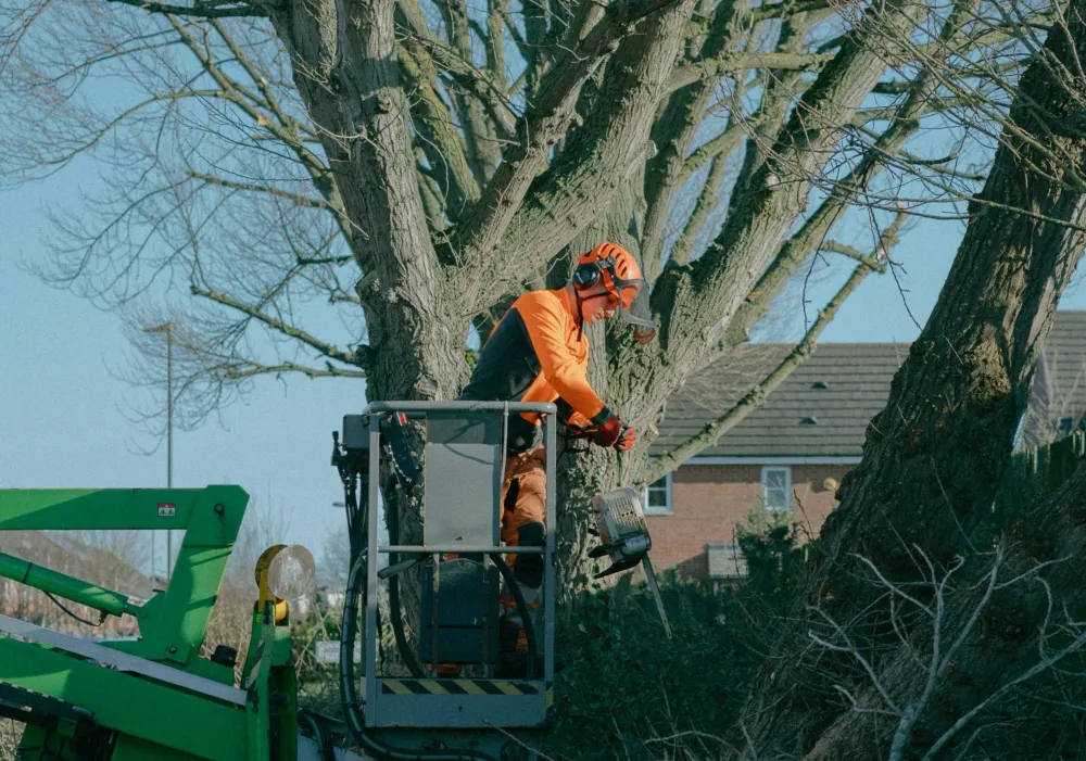 Transaction Costs in Field Service: How Tree Service Apps Reduce Operational Friction
