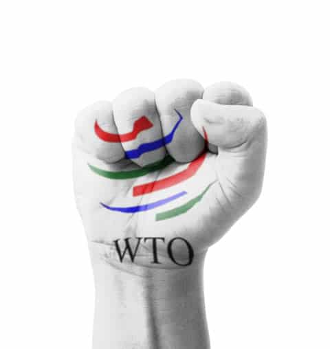 The WTO's Most Favored Nation Rule