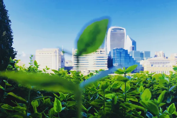 What Are the Fiscal Benefits of Starting a Green Business?