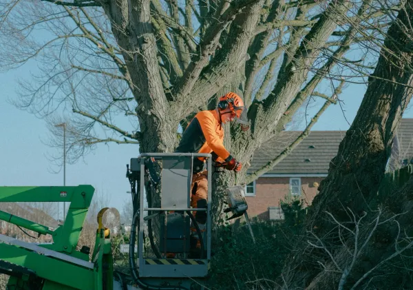 Transaction Costs in Field Service: How Tree Service Apps Reduce Operational Friction