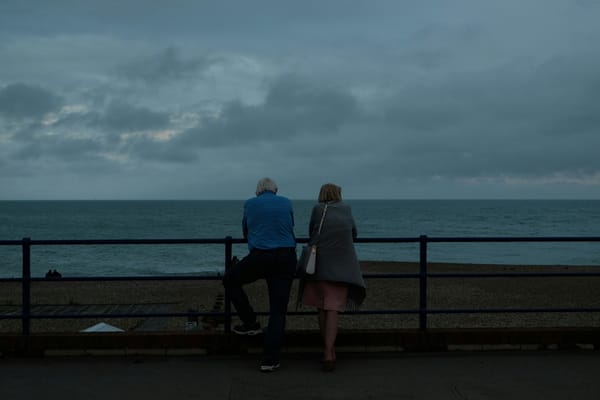 A couple staring at the sea leaning on a guard rail.